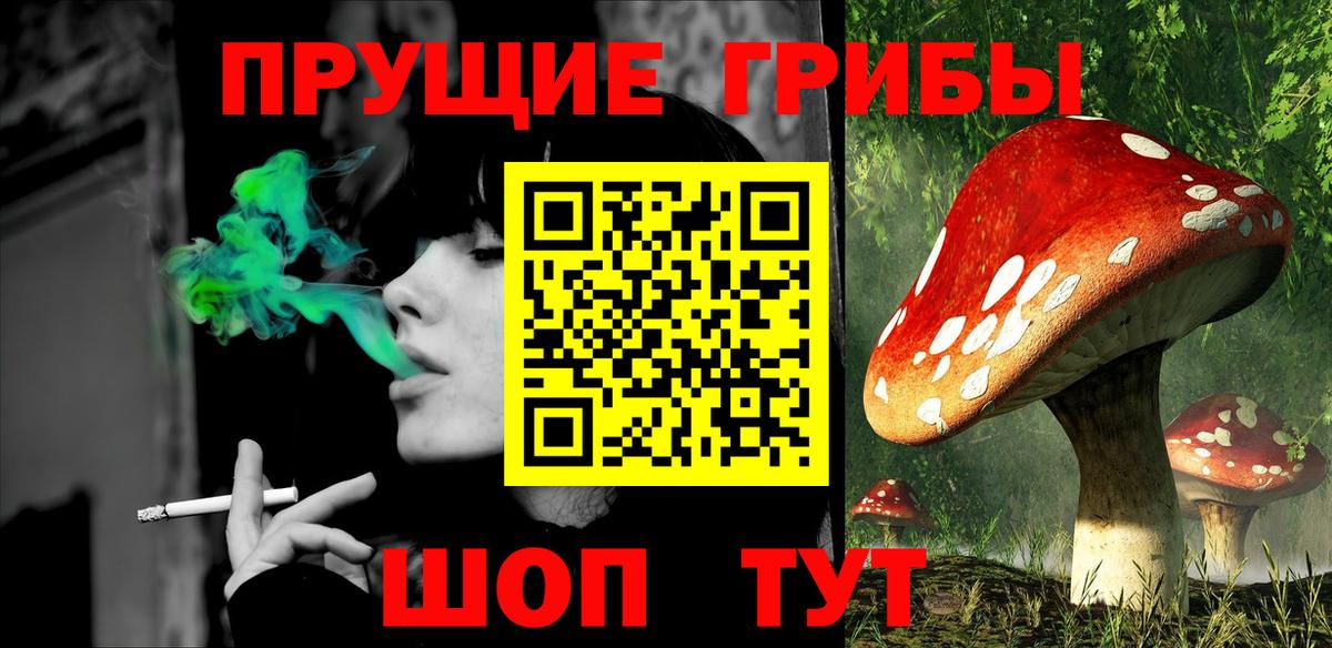 Вичуга  Псилоцибиновые грибы ЛСД  Вход с VPN 